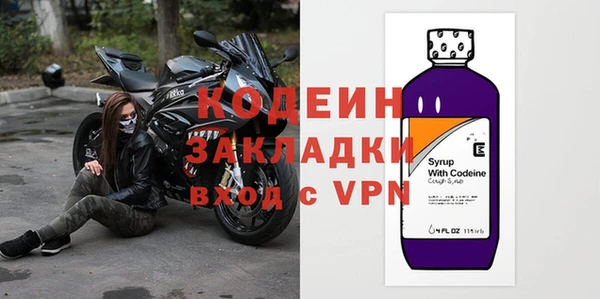 хмурый Белокуриха