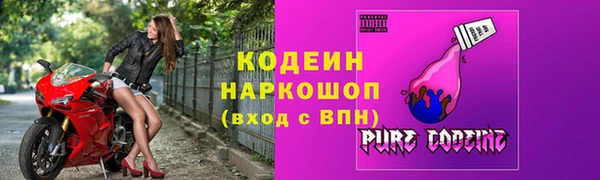 хмурый Белокуриха