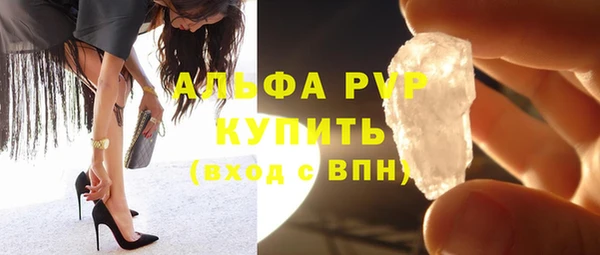 хмурый Белокуриха
