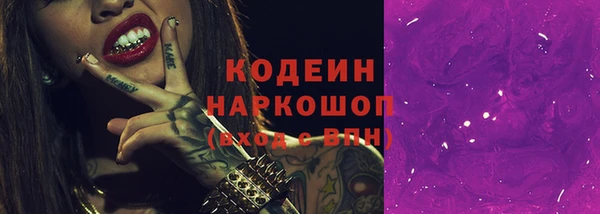 хмурый Белокуриха