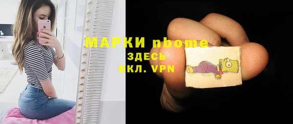 хмурый Белокуриха