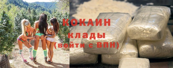 хмурый Белокуриха