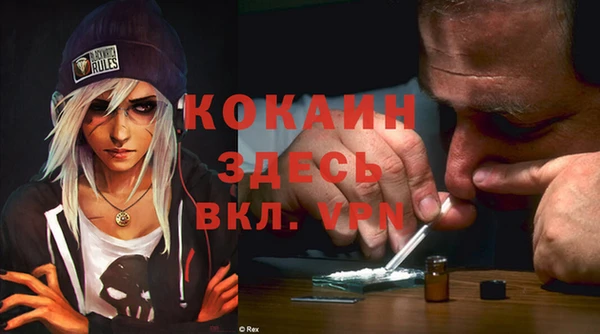 хмурый Белокуриха
