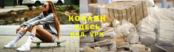 хмурый Белокуриха